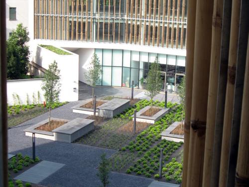 Bamboo slats infront of the glazed façades